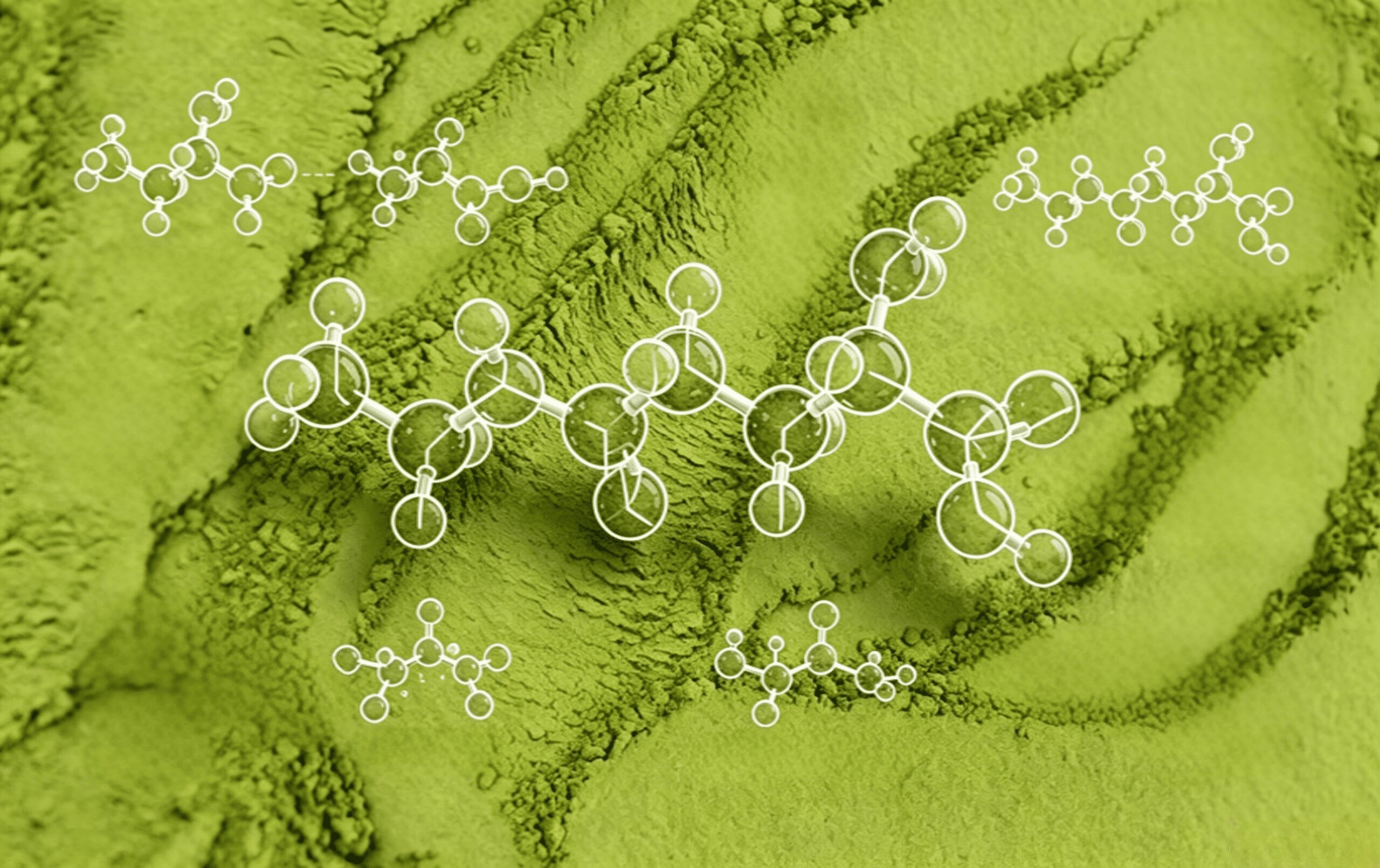 matcha ingredient matcha ingredient