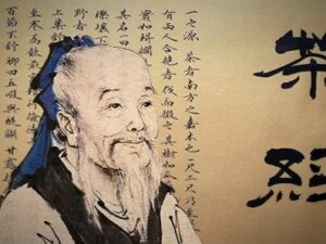 lu yu tea classic