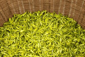 matcha leaves in basket