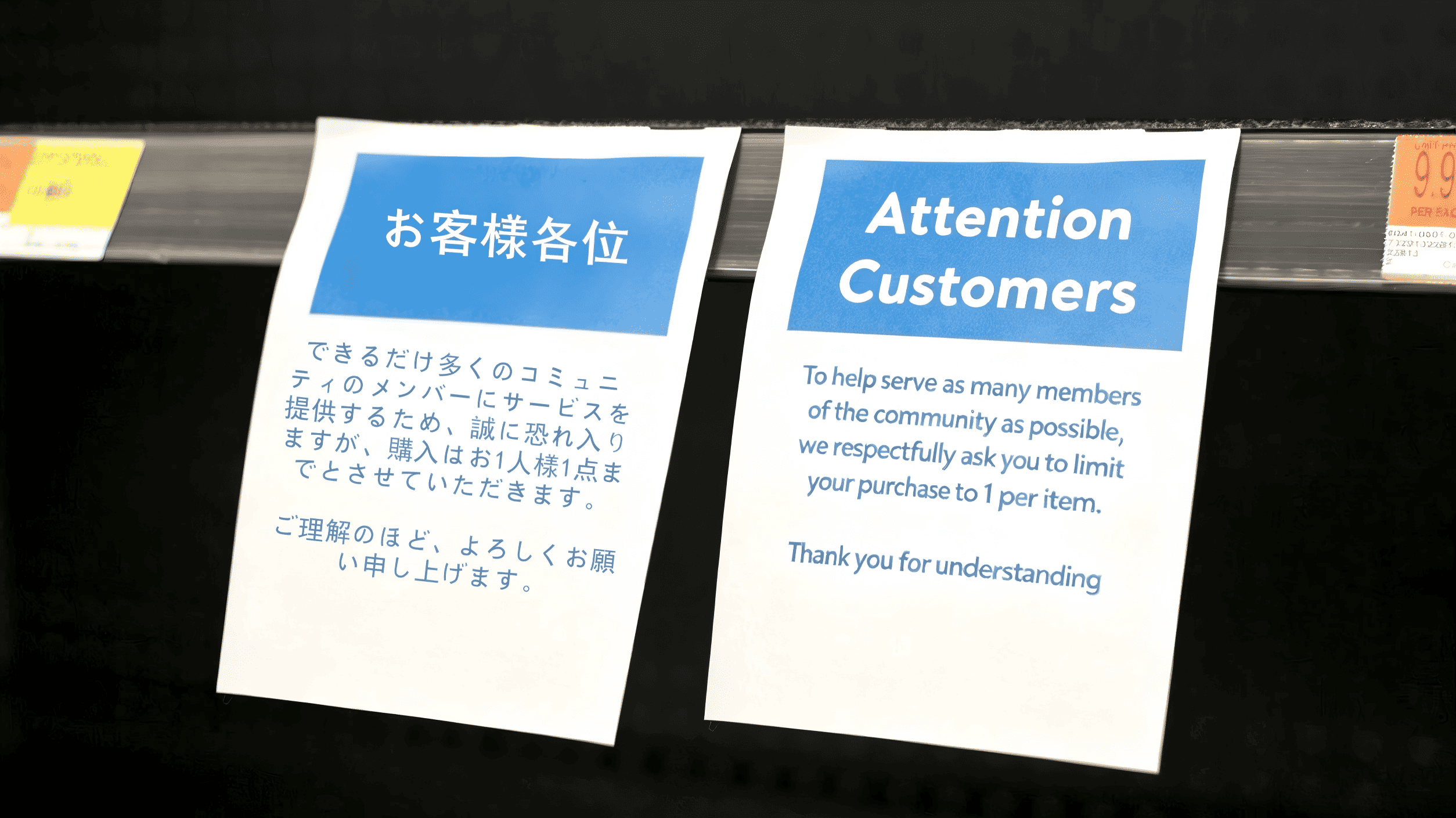matcha purchase limited