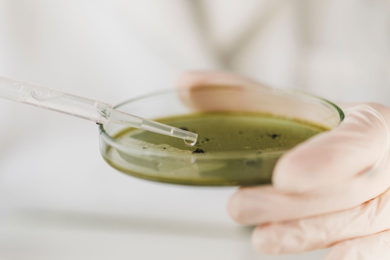 matcha test in lab