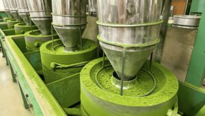matcha production