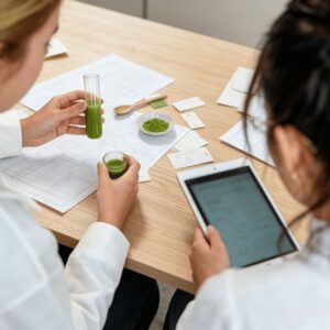 matcha recipe development